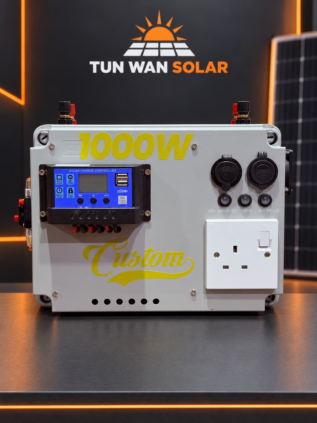 Box 1000W PSW Heavy Duty