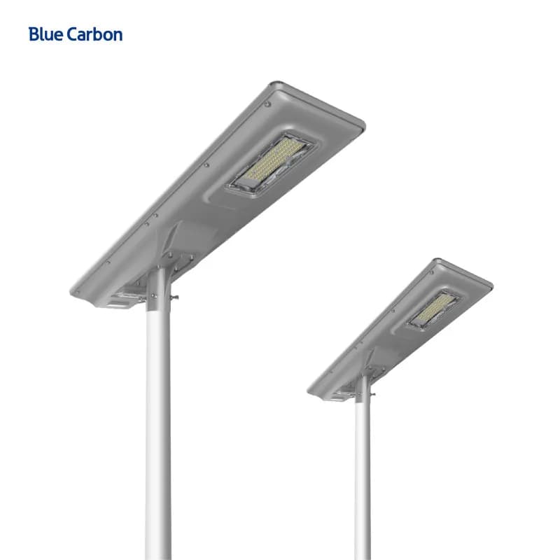 Blue Carbon Street Light 100W